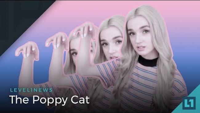 Embedded thumbnail for Level1 News April 27 2018: The Poppy Cat