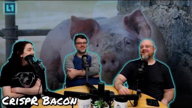 Embedded thumbnail for The Level1 Links With Friends Show May 16 2025: CrispR Bacon