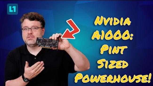 Embedded thumbnail for Nvidia A1000: This Teensy Tiny AI GPU Packs A Punch!