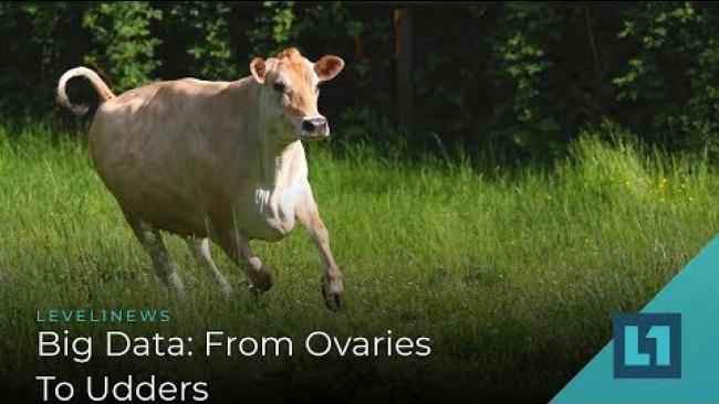 Embedded thumbnail for Level1 News April 19 2019: Big Data: From Ovaries to Udders