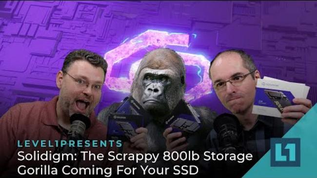 Embedded thumbnail for Solidigm: The Scrappy 800lb Storage Gorilla Coming For Your SSD ft. Allyn Malventano