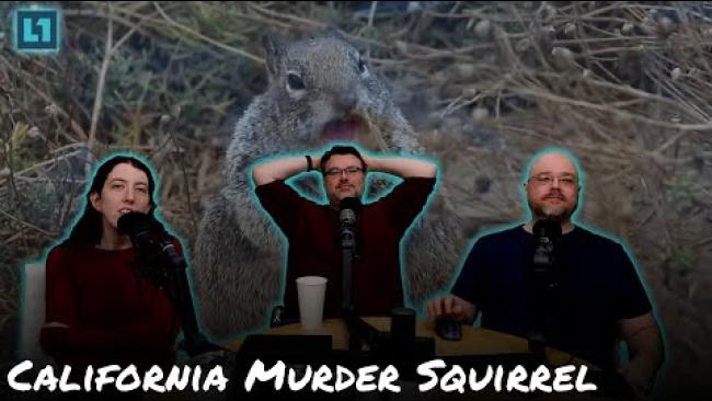 Embedded thumbnail for The Level1 Show December 27 2024: California Murder Squirrel