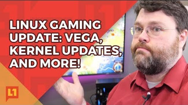Embedded thumbnail for RX Vega 64 faster than 1080ti (On Linux)!? Yes, but...