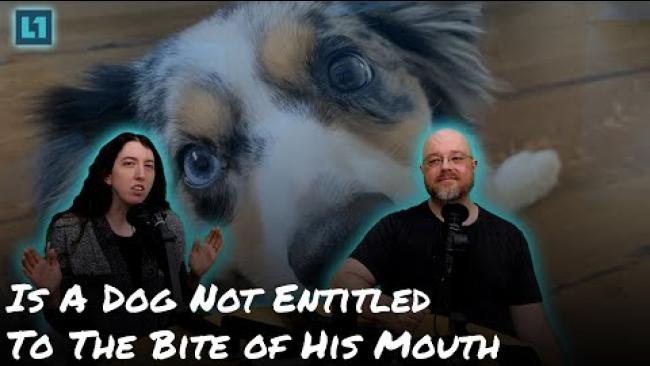 Embedded thumbnail for The Level1 Links With Friends Show May 30 2025: Is A Dog Not Entitled To The Bite of His Mouth