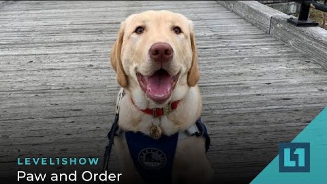 Embedded thumbnail for The Level1 Show May 5 2023: Paw and Order