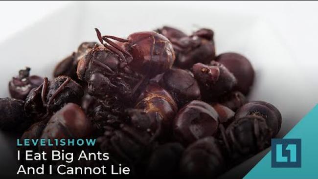Embedded thumbnail for The Level1 Show January 13 2023: I Eat Big Ants And I Cannot Lie