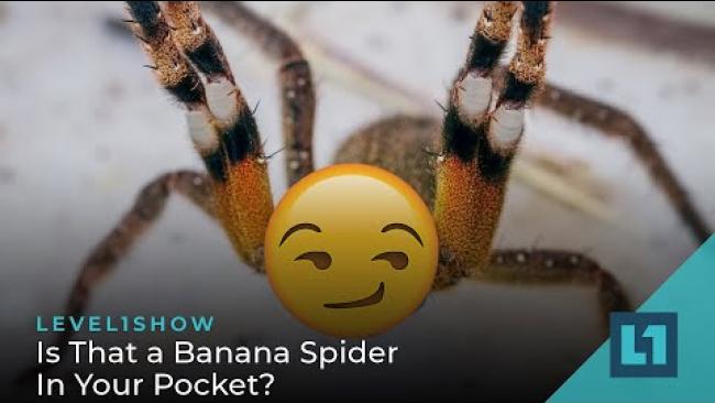 Embedded thumbnail for The Level1 Show October 6 2023: Is That a Banana Spider In Your Pocket?