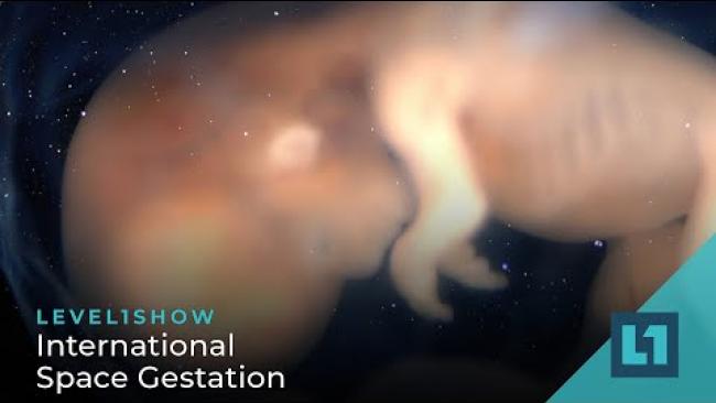 Embedded thumbnail for The Level1 Show November 3 2023: International Space Gestation
