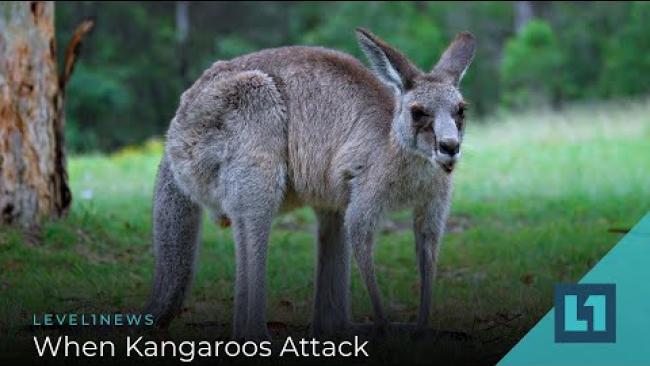 Embedded thumbnail for Level1 News December 11 2020: When Kangaroos Attack