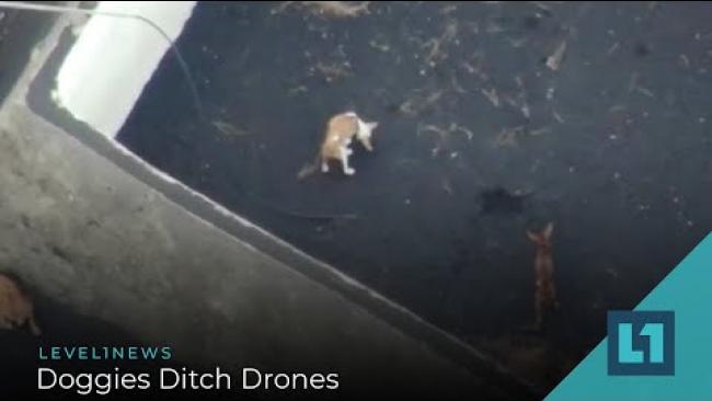 Embedded thumbnail for Level1 News October 29 2021: Doggies Ditch Drones