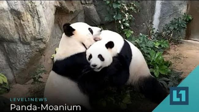 Embedded thumbnail for Level1 News April 17 2020: Panda-Moanium
