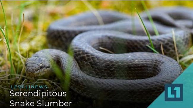 Embedded thumbnail for Level1News December 17 2020: Serendipitous Snake Slumber