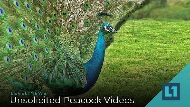 Embedded thumbnail for Level1 News January 29 2020: Unsolicited Peacock Videos