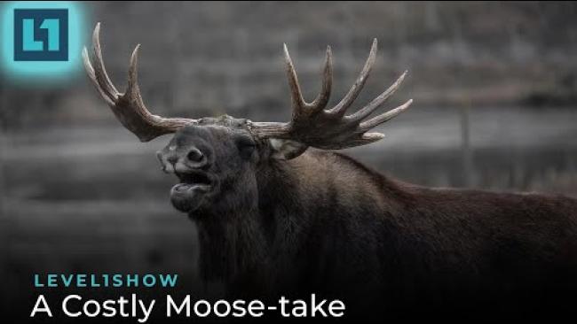 Embedded thumbnail for The Level1 Show March 15 2024: A Costly Moose-take