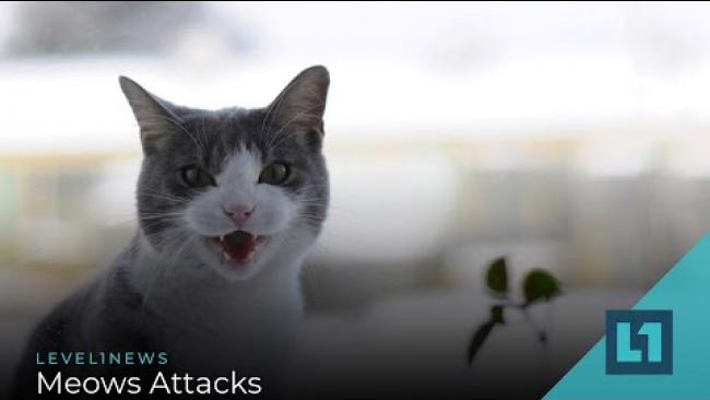 Embedded thumbnail for Level1 News July 28 2020: Meows Attacks