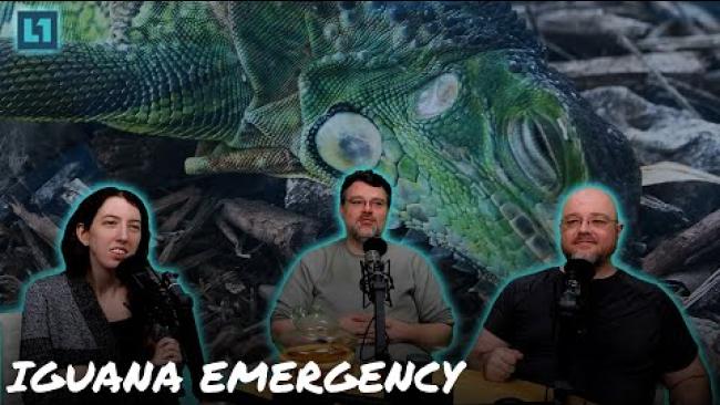 Embedded thumbnail for The Level1 Show January 17 2025: IGUANA EMERGENCY