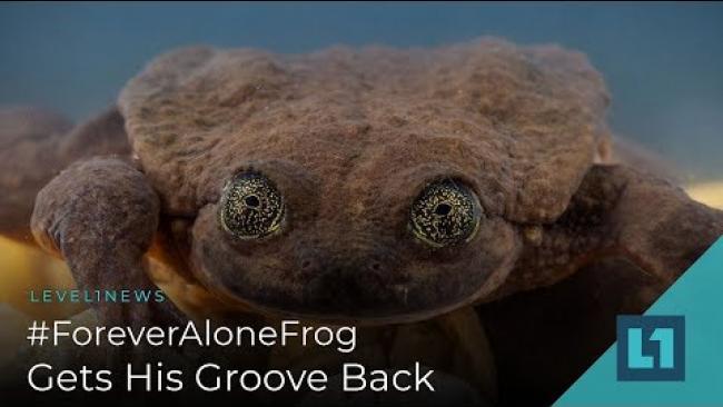 Embedded thumbnail for Level1 News January 25 2019: #ForeverAloneFrog Gets His Groove Back